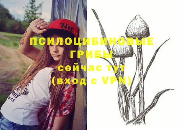 мескалин Белокуриха