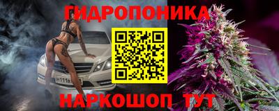 твердый Гатчина