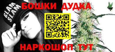 твердый Гатчина