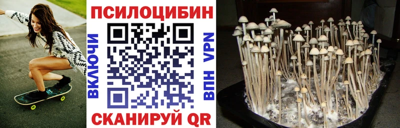Псилоцибиновые грибы прущие грибы  где купить наркоту  Бугульма 