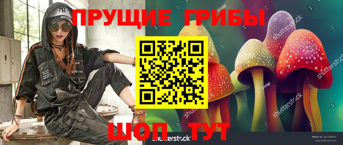 Псилоцибиновые грибы MAGIC MUSHROOMS Бугульма